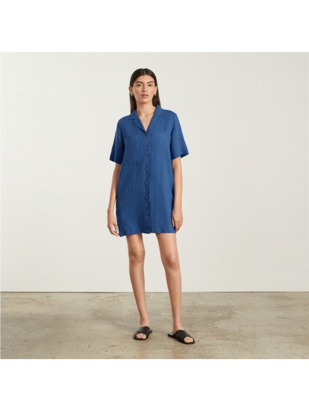 Everlane Indigo Blue Button-Down Short-Sleeve Linen Dress